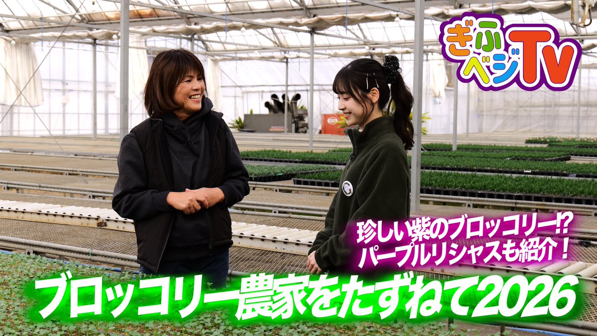 岐阜美少女図鑑 (@gibijo) / Posts / X