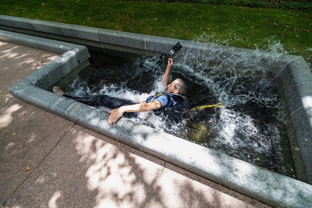 Andrew Greene tweet media