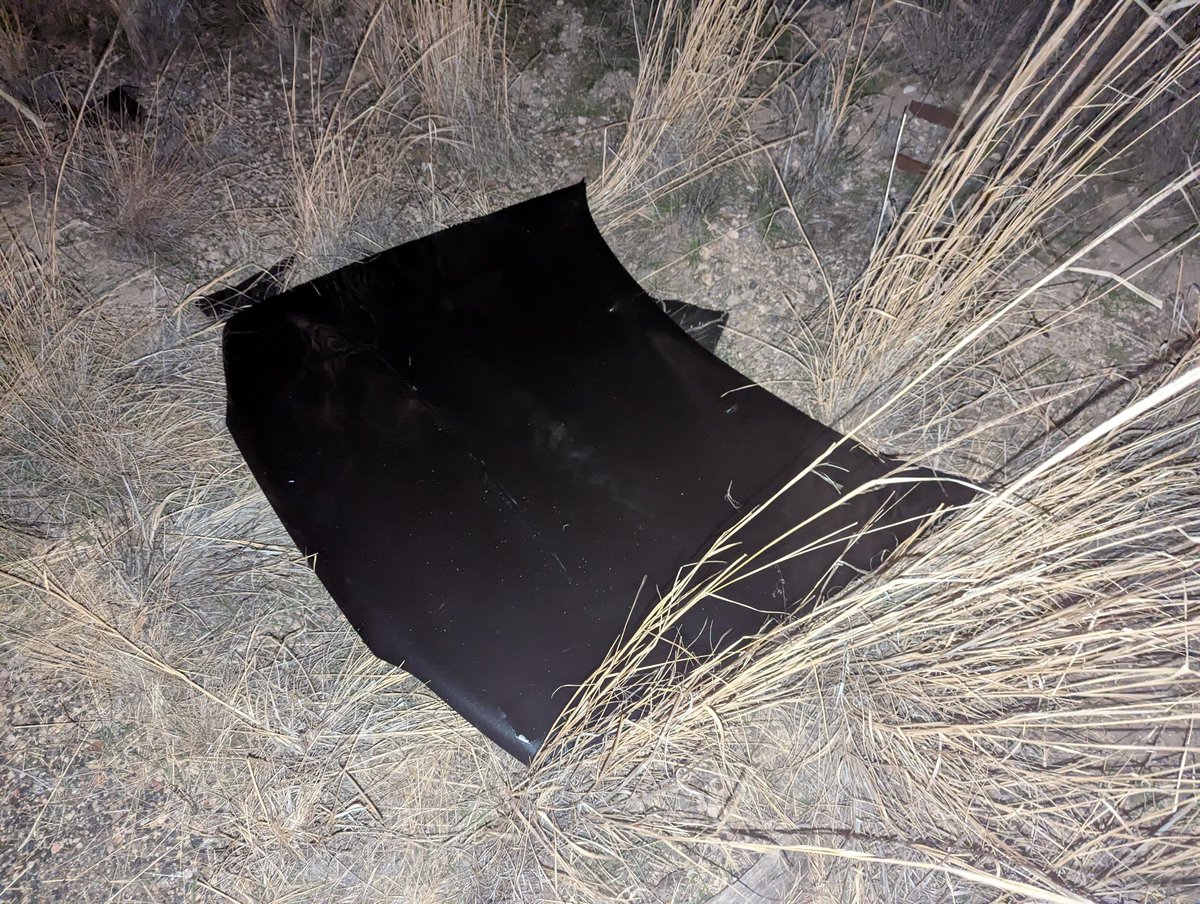 cassandra tweet media