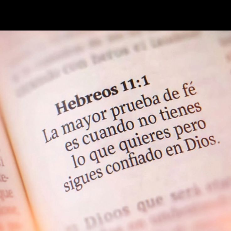 Biblia_Linea's tweet photo. https://t.co/hfHzziJAVk