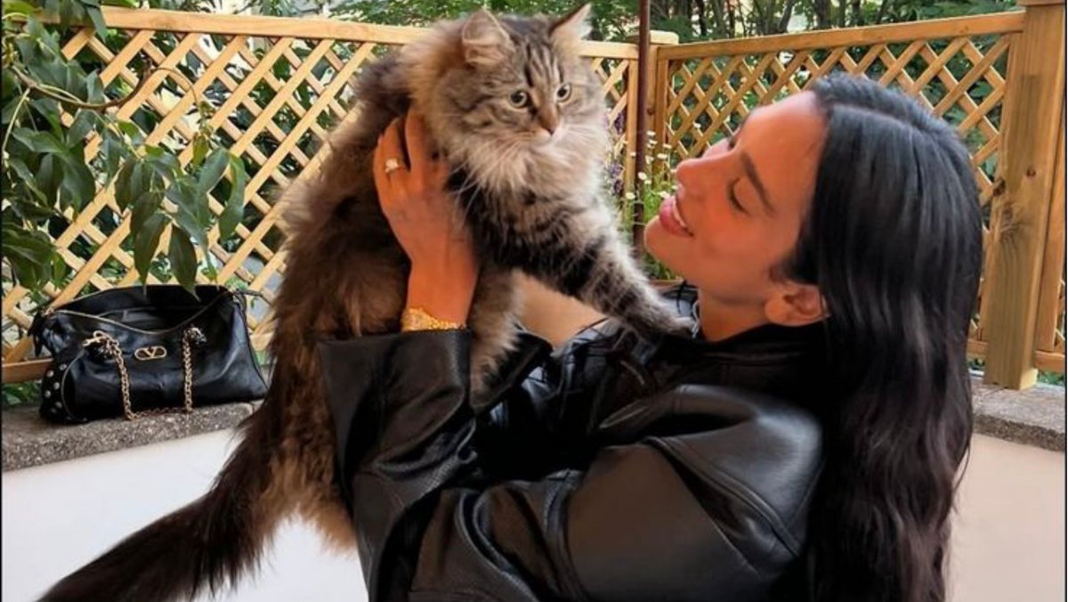 ; 𝖦𝗂𝗎𝗇𝖾𝗍𝗍𝖾 tweet media