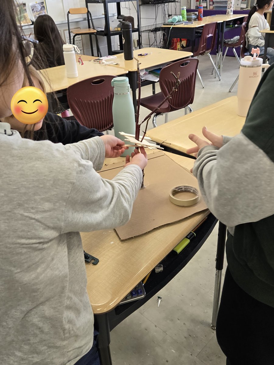 MsZs_Class's tweet photo. Students began building their structures in science today. Lots of discussion on how to make their treehouses stable enough to withstand the forces I place upon them. https://t.co/CAPE0hRBo9