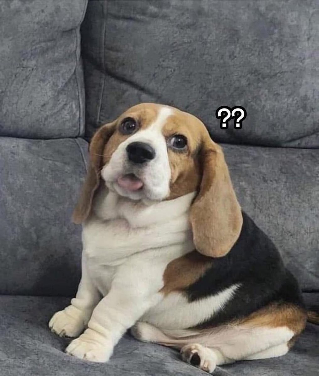 ¿Acaso el 2026 no está empezando de la misma manera qué el 2020?

Con sismos, catástrofes, amenazas nucleares, caída del Bitcoin y una declaración de epidemia el 21 de enero con la declaración de pandemia el 11 de marzo y la suspensión de asistencia de un evento mundial.