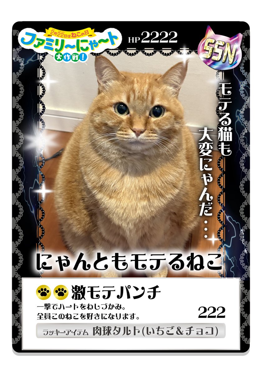 すずつむふう【我が家の可愛い猫's】 (@kagisuzu0531) / Posts / X