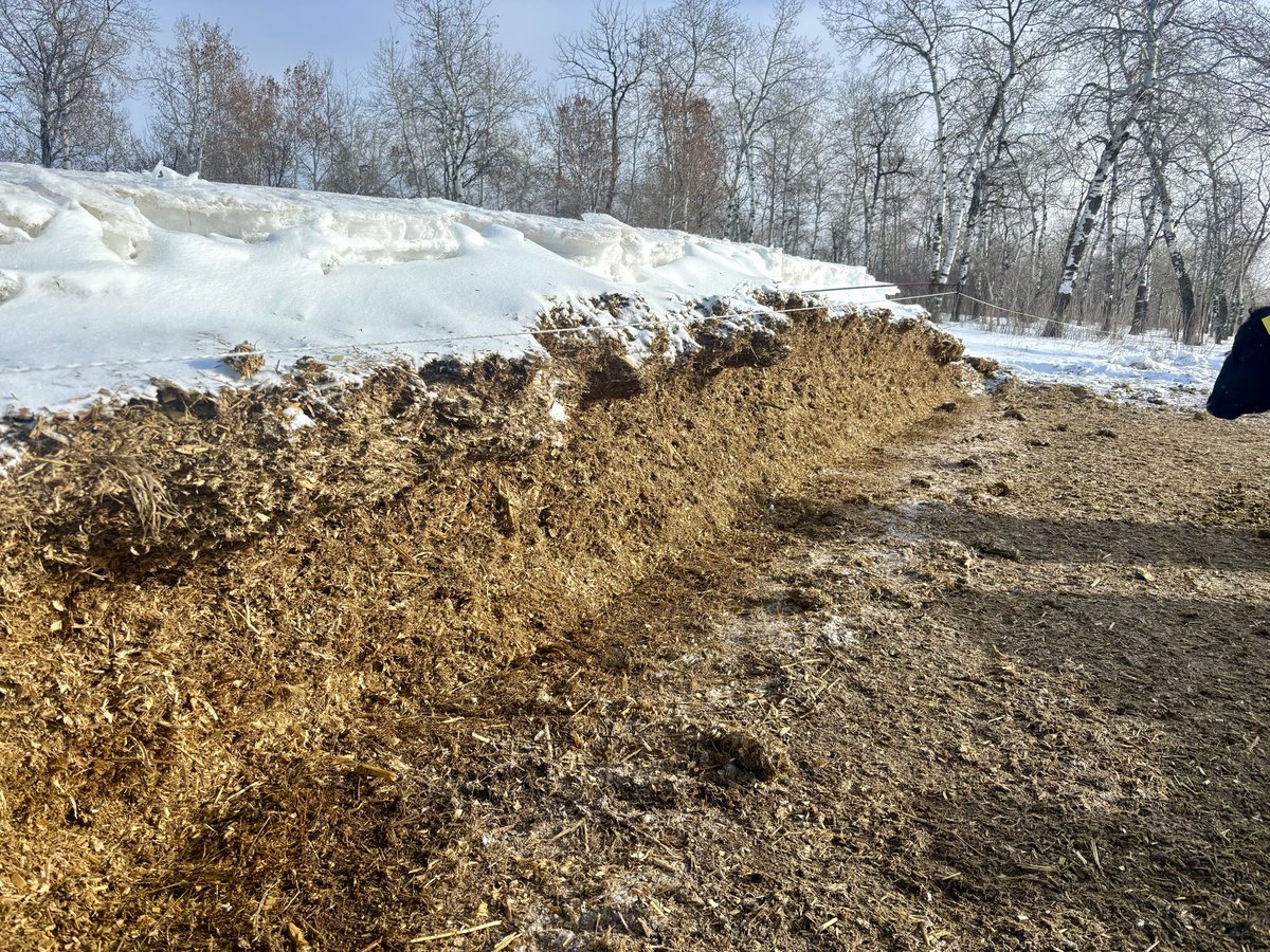 Edie Creek Angus tweet media