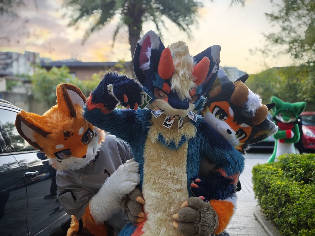 梦の黑白 🔜WFF! tweet media