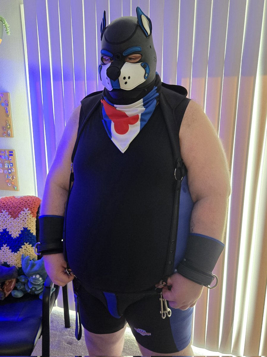 Pup Cobalt tweet media