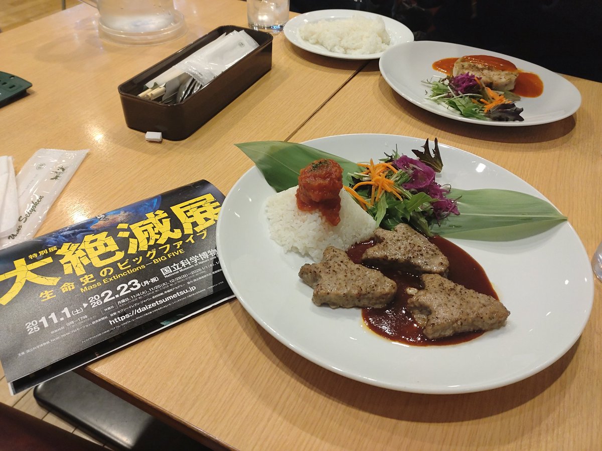 monmon_8864's tweet photo. 先日、科博の「大絶滅展」に行ってきました
平日なのに結構な混雑でした
お昼は科博のレストランにて、ジュラ紀ハンバーグプレートを美味しくいただきました
久々の上野公園でしたが、公園口もだいぶ変わってましたね https://t.co/PROeVNBxNE