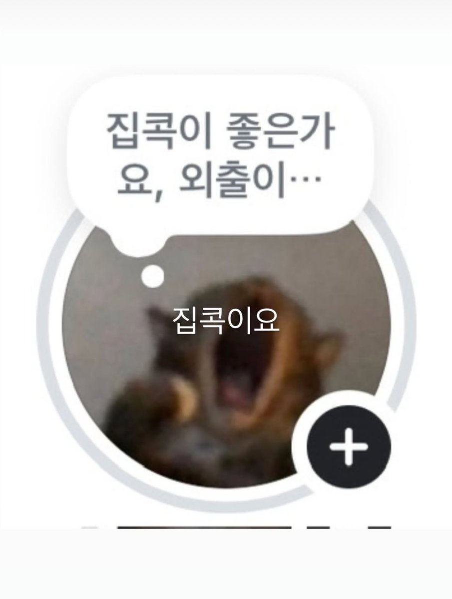 스토리로 대답까지 야무지게 하고 사라진거 진짜 미치겐네ㅋㅋㅋㅋㅋㅋㅋㅋ쿠ㅠ 귀여워