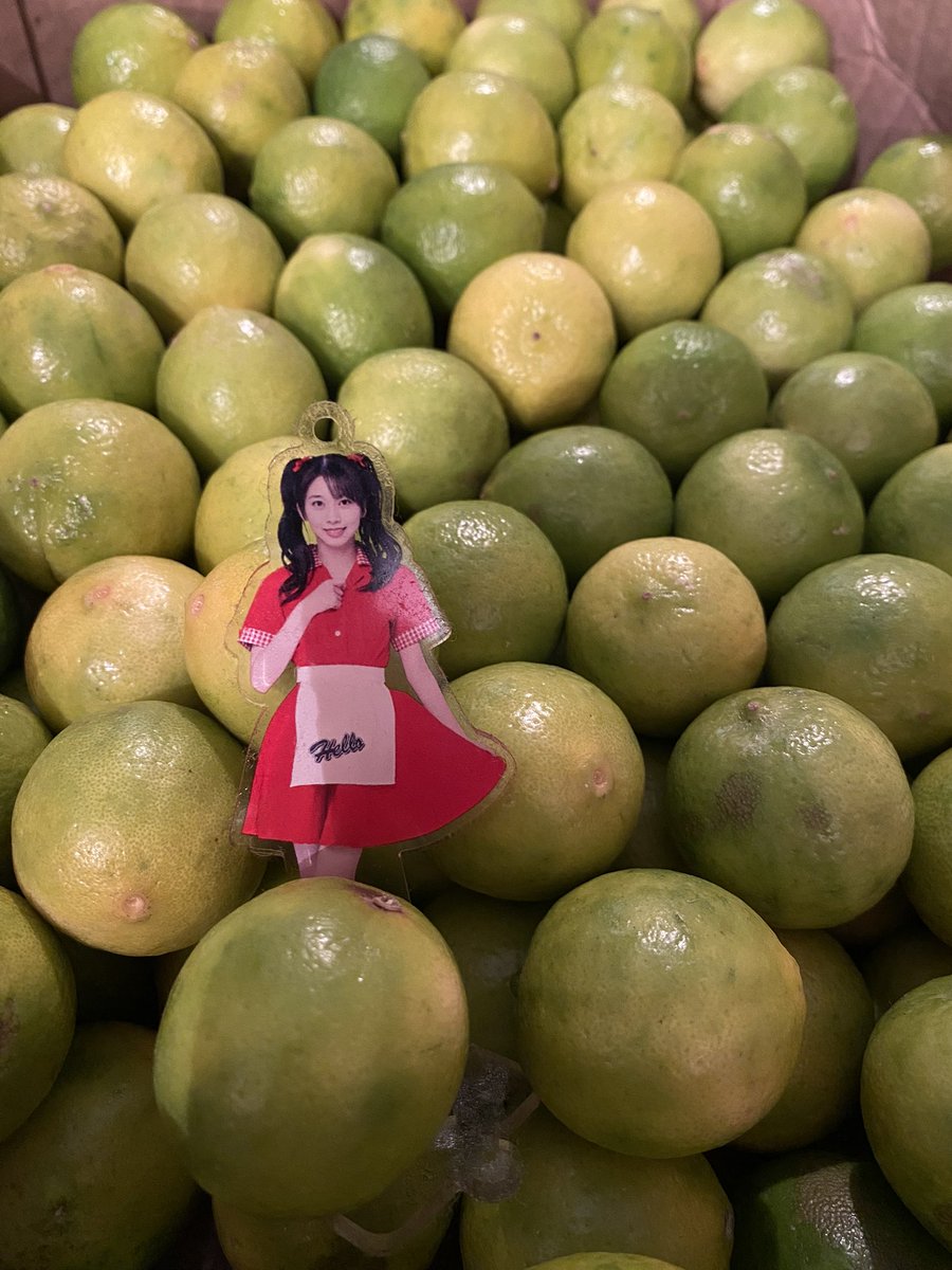 MEDIUM 清澄白河 tweet media