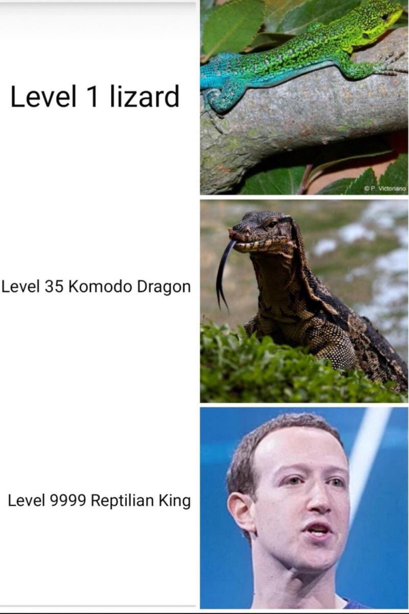 it’s over 9000

Mark Zuckerberg = a real life lizard king 👑