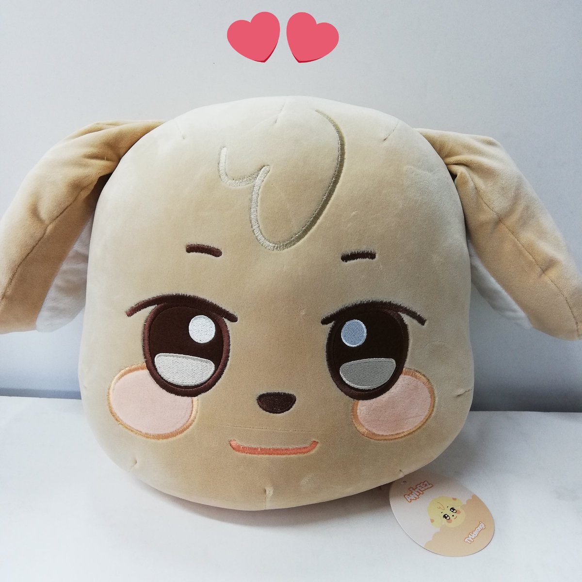 ⏳ #ATEEZ ATEEZ ⏳ ANITEEZ チュドンイ フェイスクッションが入荷