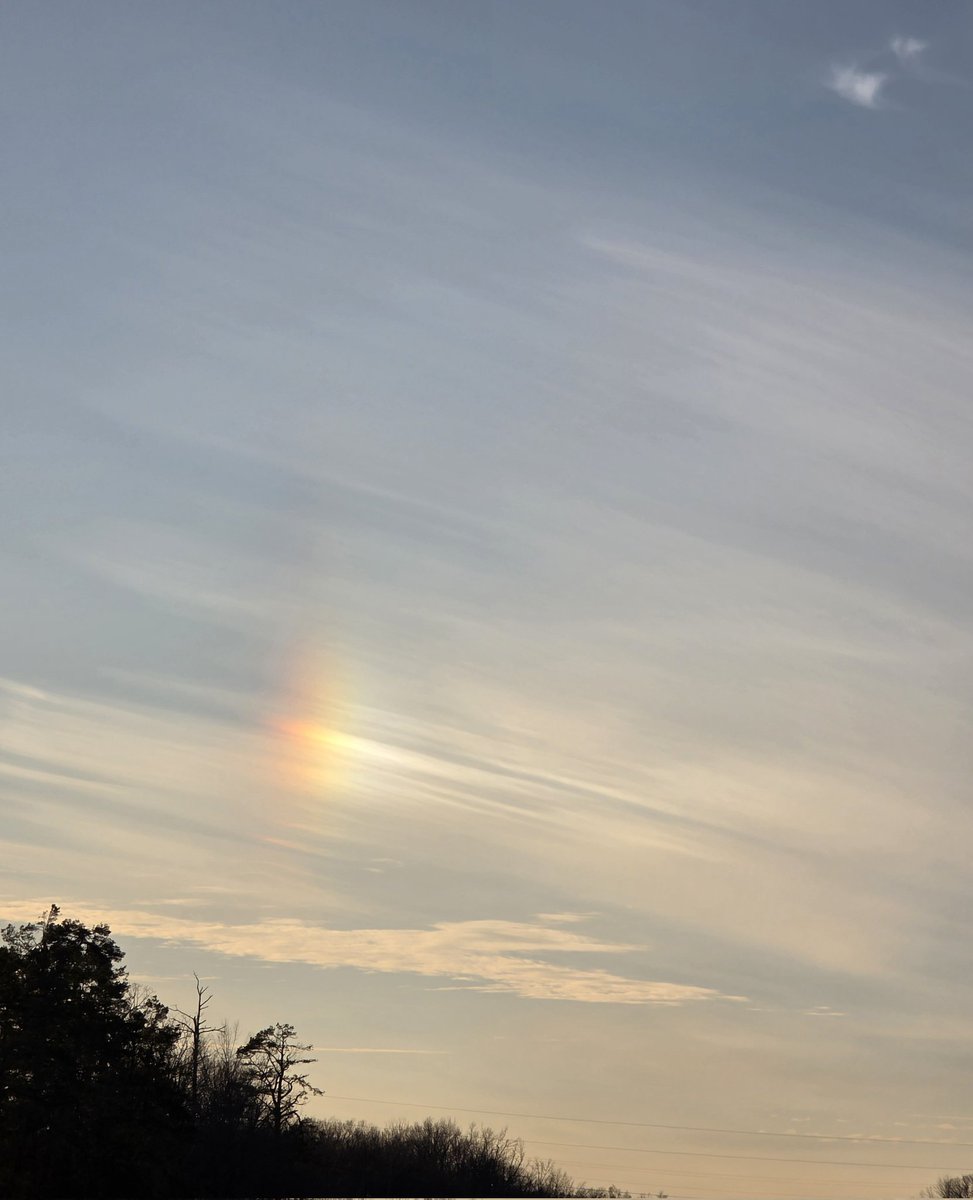 oxfordlarry's tweet photo. Sundog spotted in Lafayette County today.
@NWSMemphis 
@3onyourside https://t.co/DiQKS0e3p9