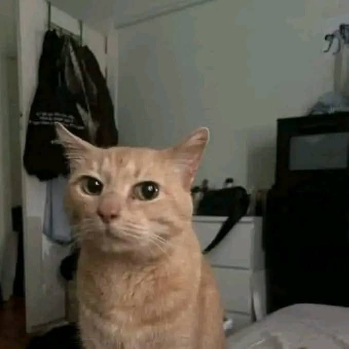 Azahiara tweet media