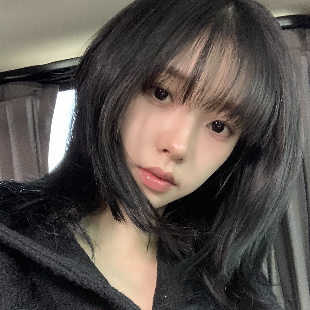 jor ⋆ WDA tweet media