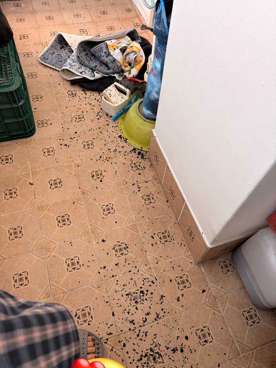 진심레전드씹폐급유어블 엄마 나 어케키웠지 존나 갖다버리고싶음 내가 나를