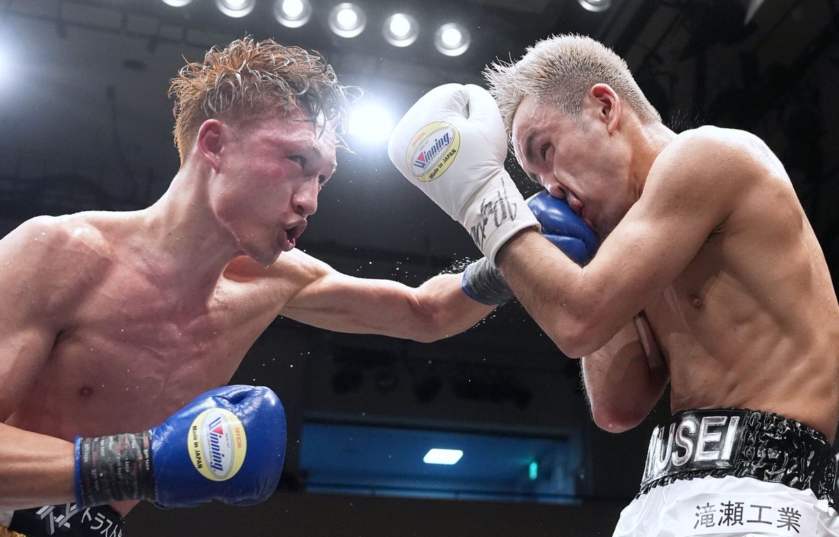 FUJI BOXING (フジボクシング) tweet media