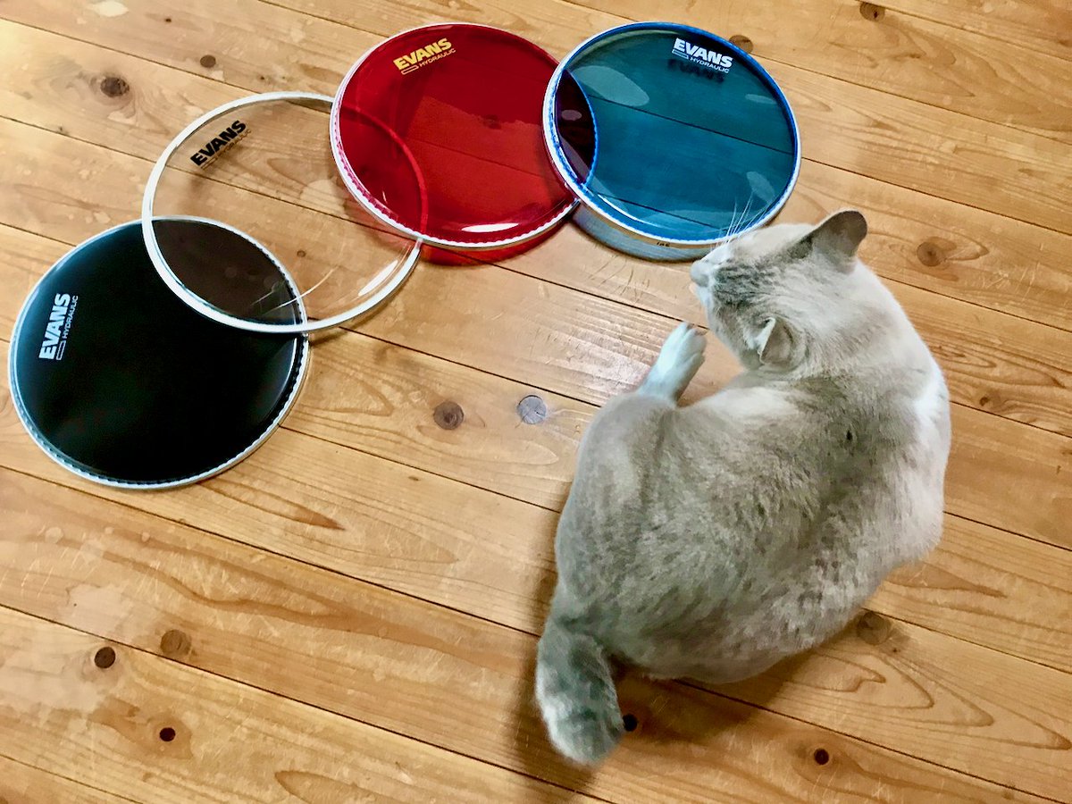 parka hp (ishiken)😽 (@ishiken_hp) / Posts / X