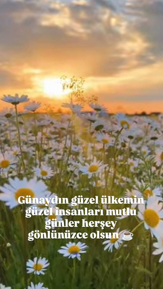 şair (@1453bahabaha) on Twitter photo 