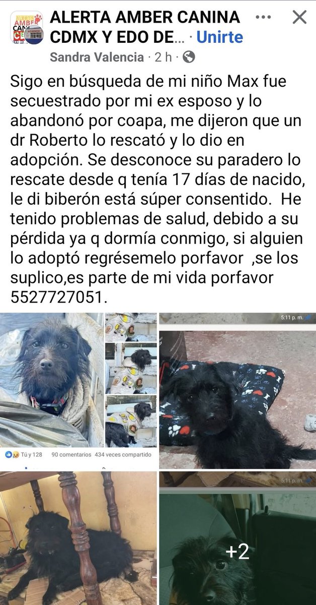 Perrito secuestrado, por favor ayuden a compartir, fue abandonado en #Coapa <a href="/MascotasSismo/">Mascotas Sismo</a> <a href="/MascotaCoyoacan/">Mascotas Coyoacán 🐾</a> <a href="/MundoPatitas/">Mundo Patitas AC</a> <a href="/HELA_MORE/">𝙷𝚎𝚕𝚊 𝙼𝚘𝚛𝚎 🐶</a>