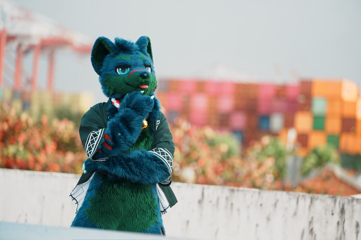 CT the Wolf➡️UTFG tweet media