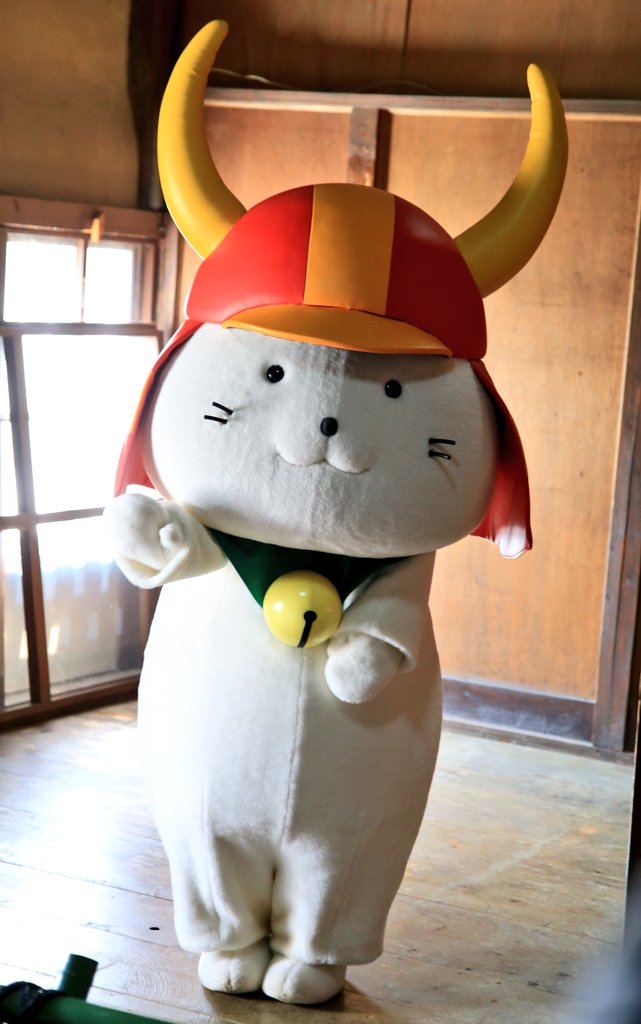 にゃんと…‼️
今日はとってもレアにゃ日🐾☀
重要文化財である
"天秤櫓" でひこにゃんが登場〜🏯✨

いつもとちょっぴり違う
特別な場所でのごあいさつ😚
今日も可愛かった〜📸💕