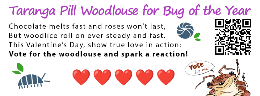 Cheeky Parrot Games tweet media