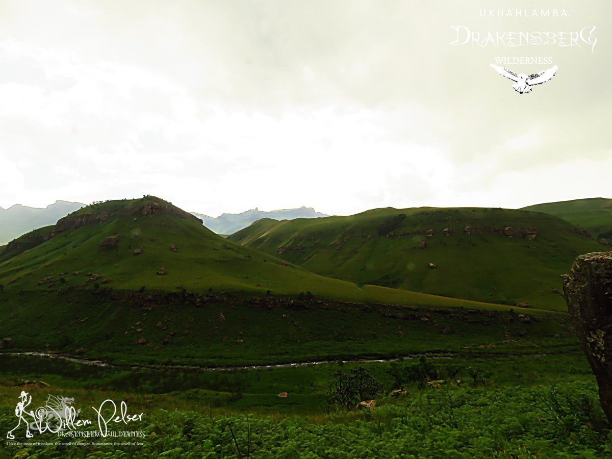 Visions of the KZN Drakensberg Wilderness............................

hikingthedrakensberg.blogspot.com