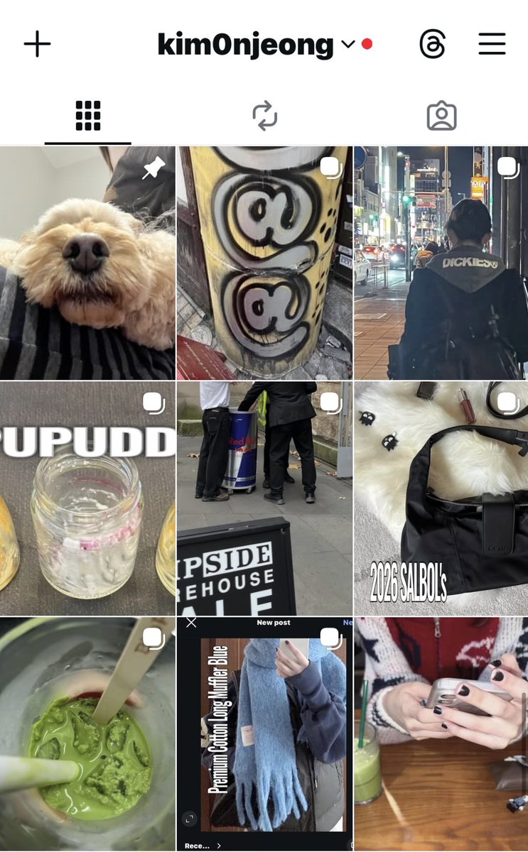 김온정 tweet media