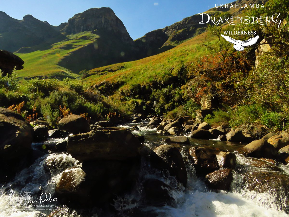 Visions of the KZN Drakensberg Wilderness............................

hikingthedrakensberg.blogspot.com