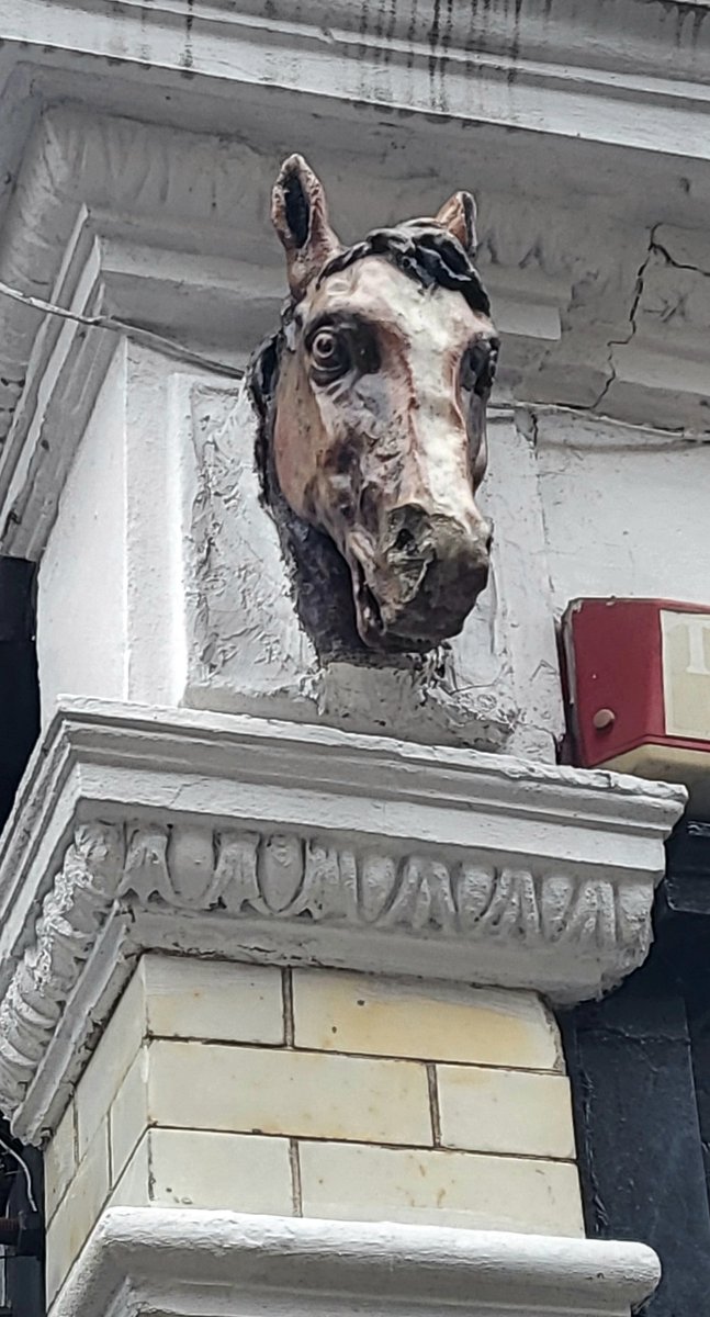 It's time for Notes and Queries. First up is Barbara in Waterloo. She wants to know about this building in Bermondsey and why it has these horse head sculptures on it? 🐴If you know, give me a call on 0800 731 2000 📞
