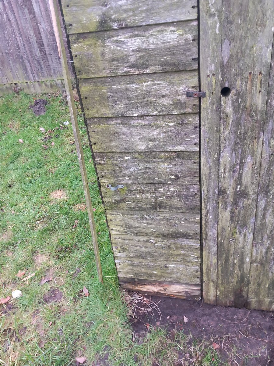 mynamessarah tweet media