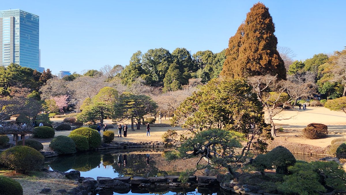 デスティニー tweet media