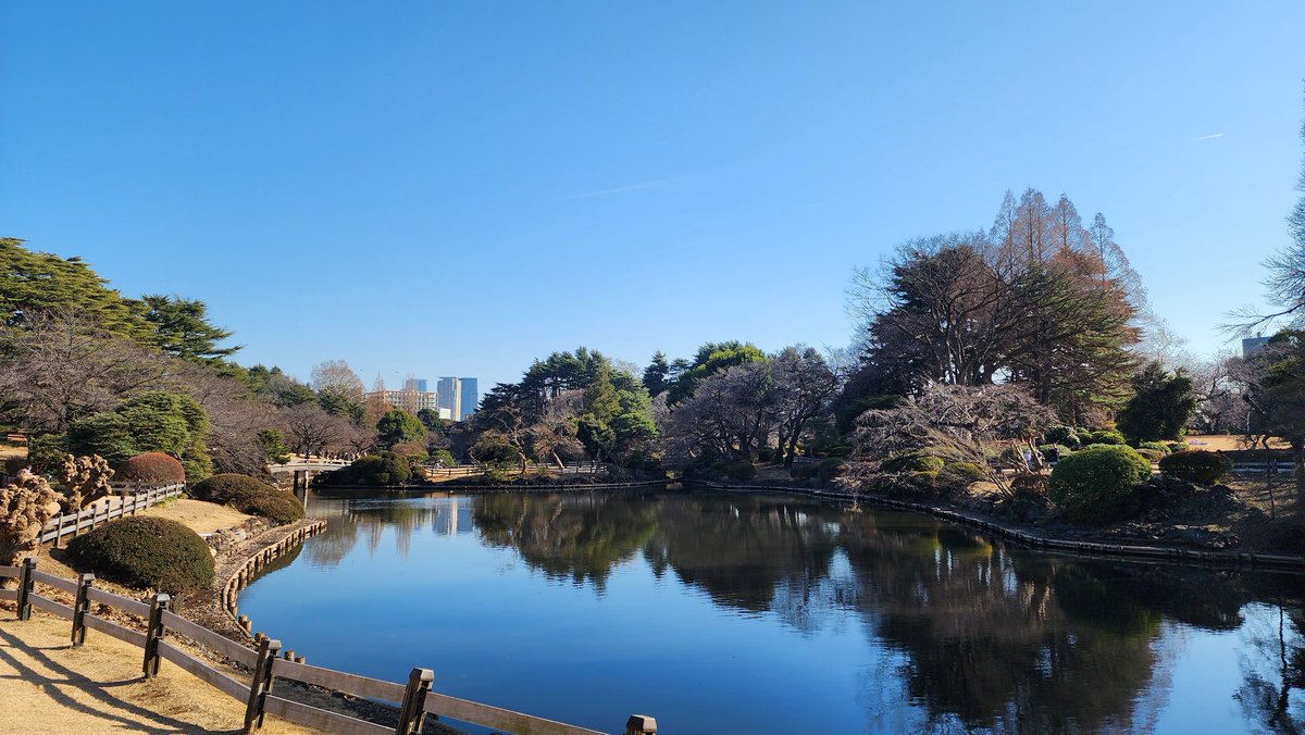 デスティニー tweet media