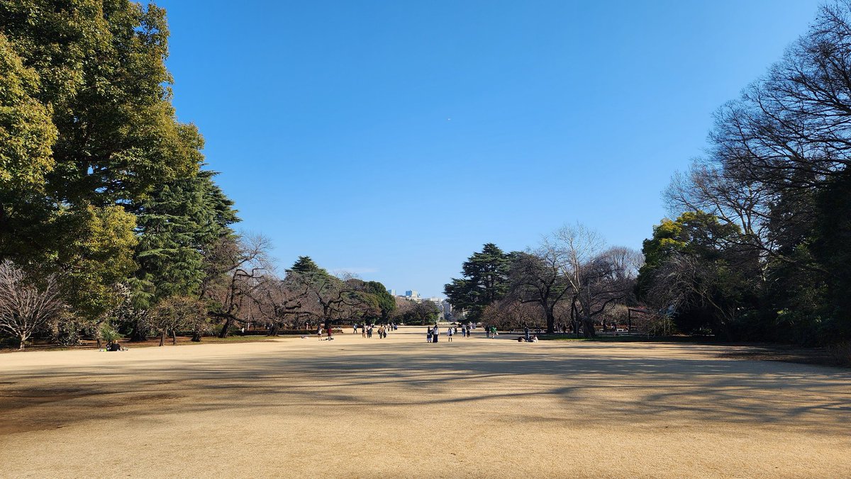 デスティニー tweet media