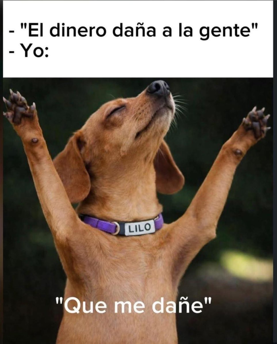 El Meme (@memessv7) on Twitter photo 