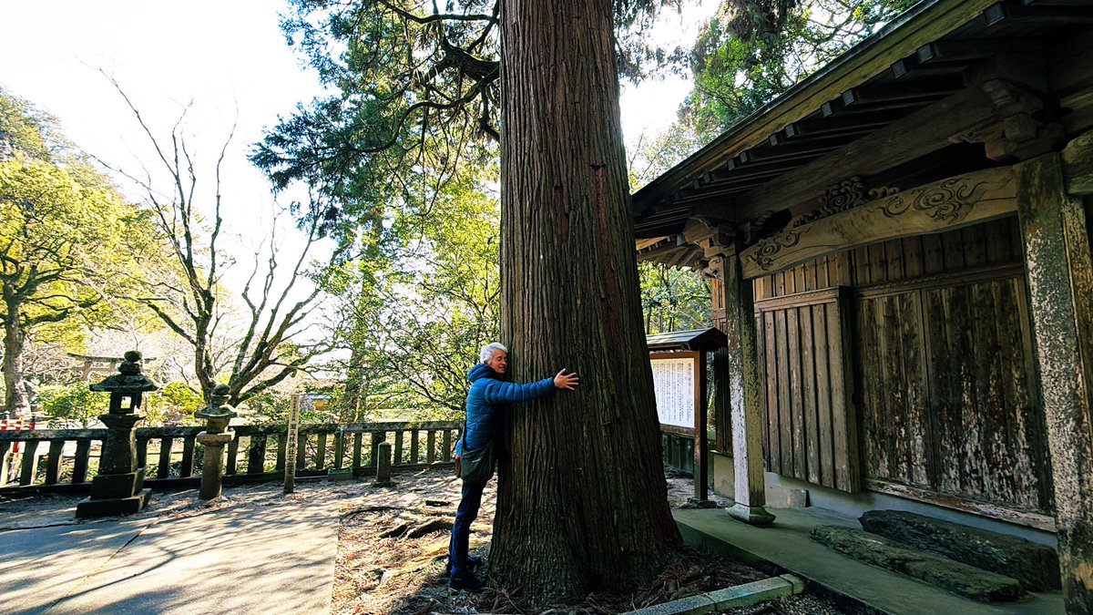 marcpanther's tweet image. 大きな木にぎゅーっと抱きついちょったらな、
なんか全部ゆるんでいくんよ。何百年もここに立っちょる木。風も雨も、いろんな人の想いも、ずっと見てきたんやろなぁ。
あったけぇ。
静かやけど、ちゃんと生きちょる力が伝わってくる💚#globe