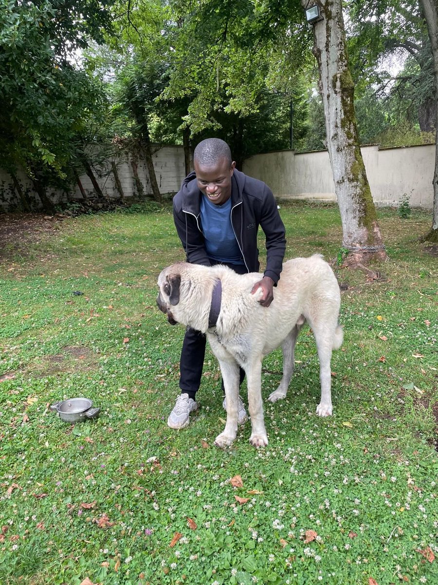N'golo Kante ve Türk dostunun kangal köpeği.