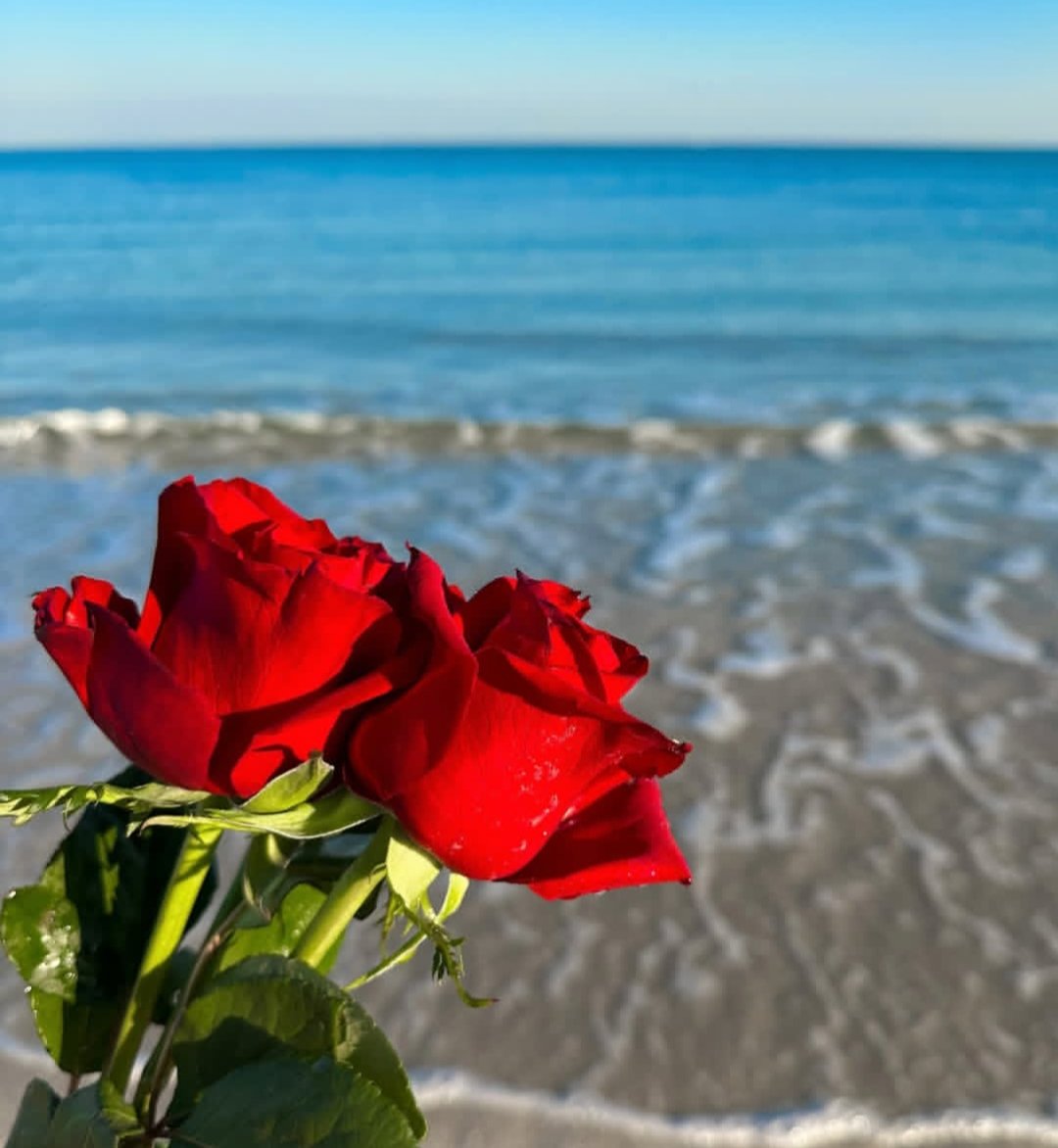 ImNusratJahan1's tweet photo. ভালোবাসা মানে তুমি 💖
আর তুমি মানেই আমার পৃথিবী! 
তুমি আমার প্রেম নয়, 
তুমি আমার আত্মার অংশ..!! 
তাই  তুমি আমায় শান্তি দিও, 
শাস্তিও দিও, 
তবে মৃত্যু পর্যন্ত সঙ্গ দিও..!! 💖 https://t.co/BFERVTZU79