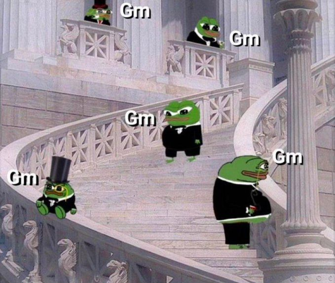 cryptodzilla's tweet image. GM bros!

Time to shine