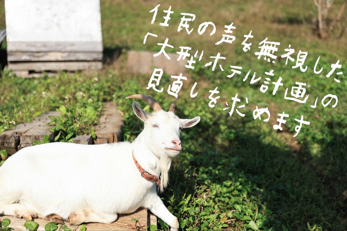 芦徳集落の暮らしを守る会 tweet media