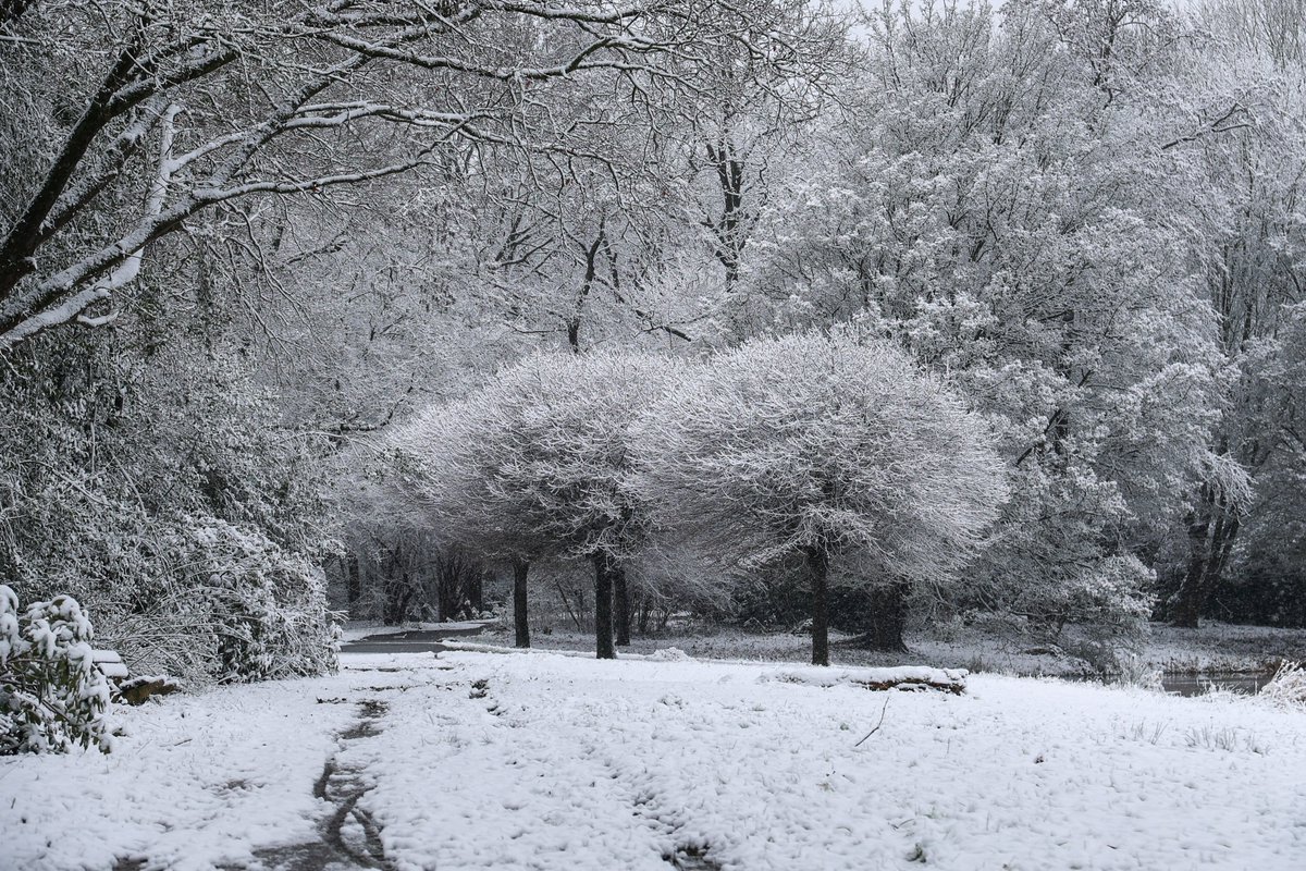 Mélarno Kraan tweet media