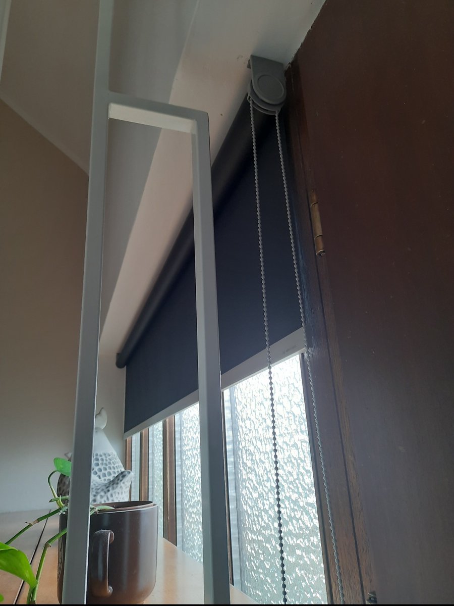 David Krieger tweet media