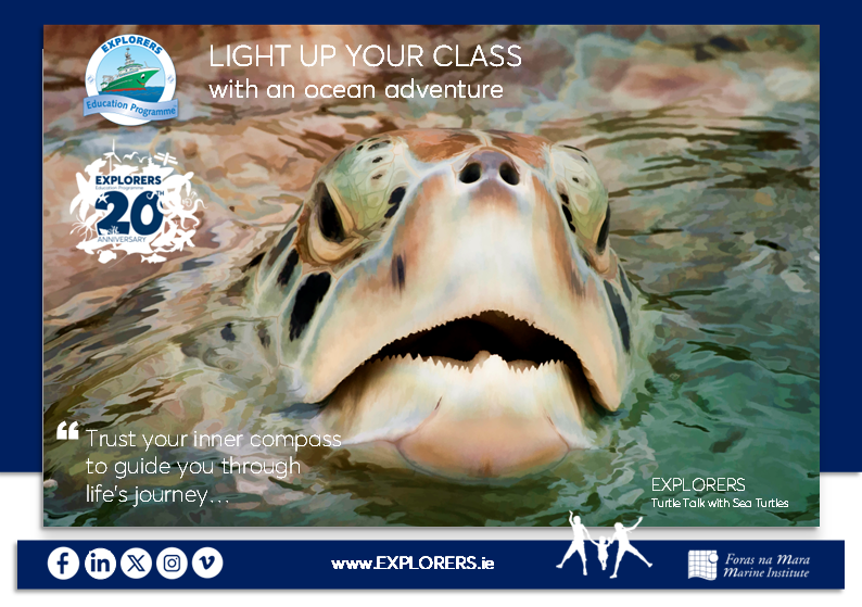 Explorers Education Programme tweet media