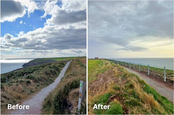 Waterford Leader Partnership CLG tweet media