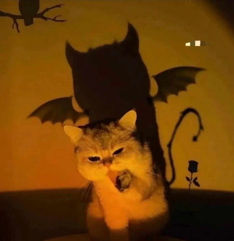 “Don’t yell at me, i am just baby girl”

Meanwhile she: