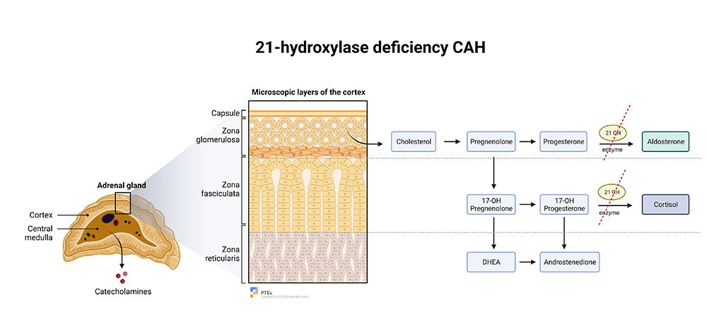 PathologyTestsExplained tweet media