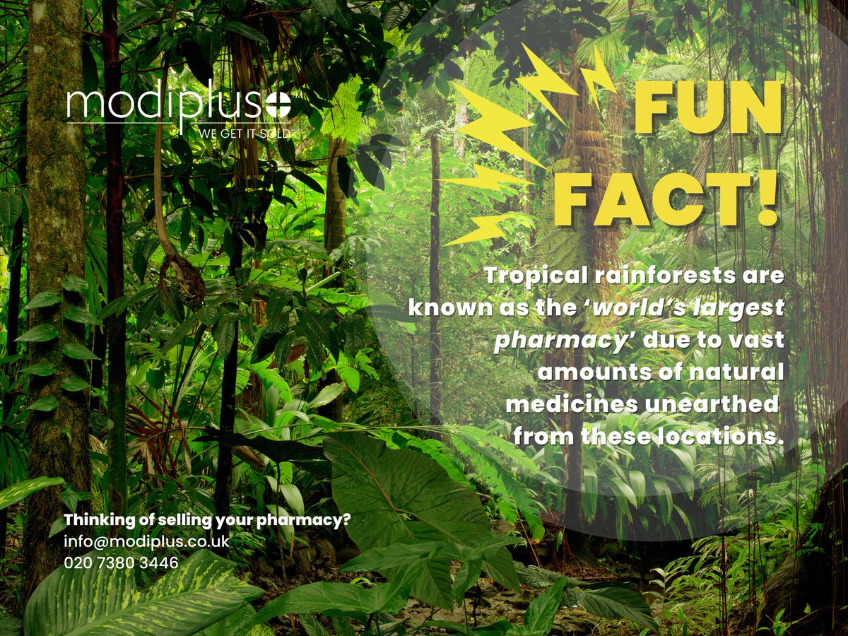 modiplus's tweet image. ⚕️ Friday Pharmacy Fun Fact!

🌳 Tropical rainforests cover 7% of the landmass on Earth and steps are being made to ensure future generations benefit from its abundance.

#Modiplus #WeGetItSold #CommunityPharmacy #pharmacy #pharmacist