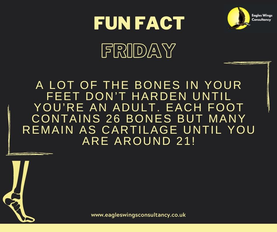 John McDonald tweet media