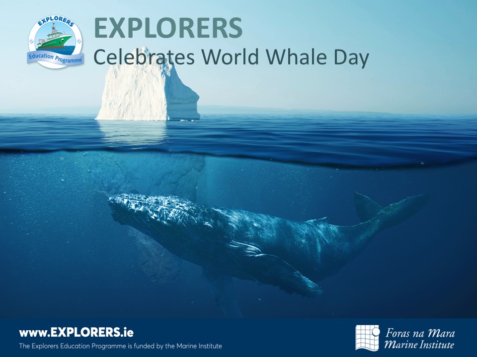 Explorers Education Programme tweet media